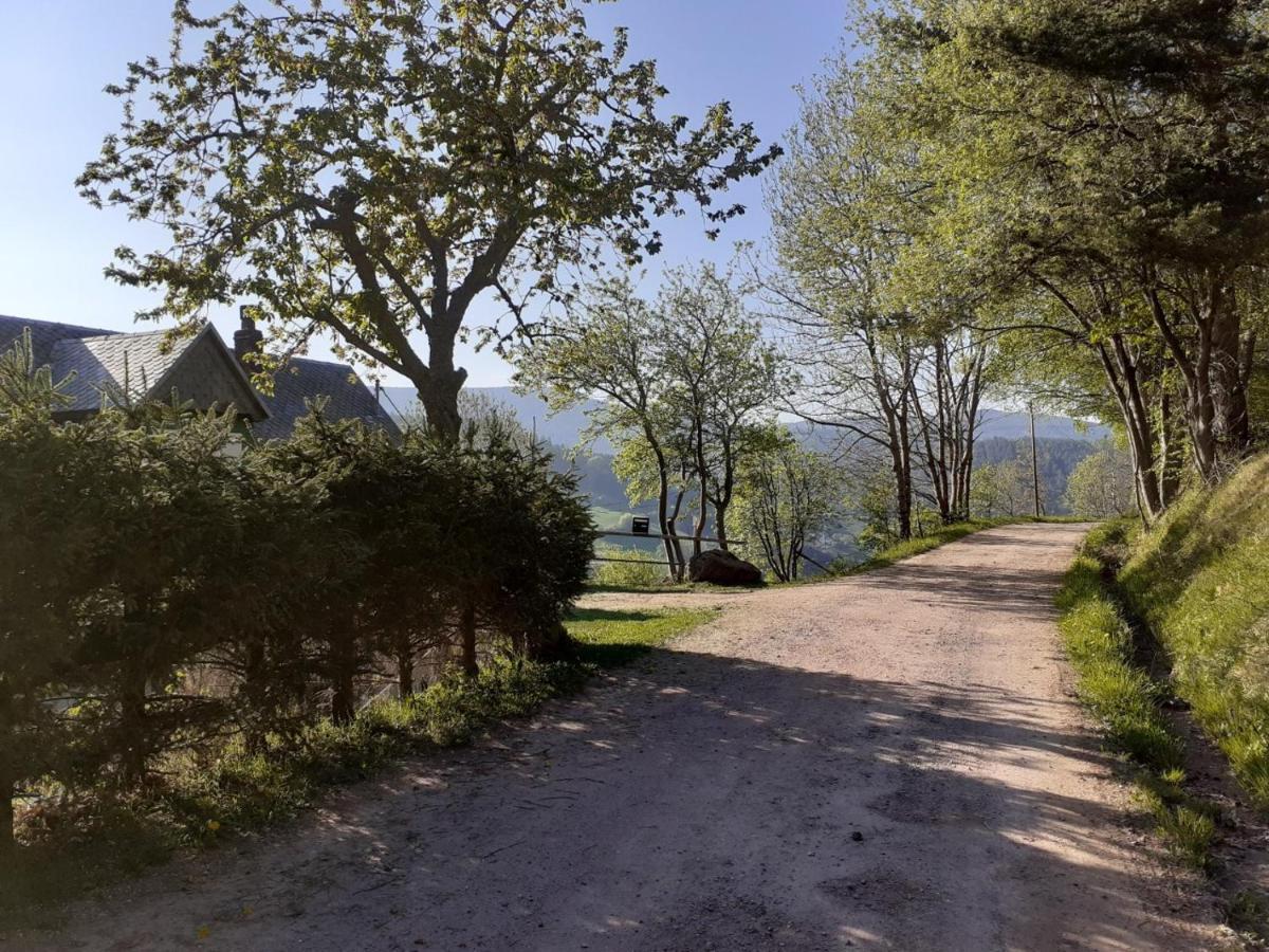 Villa Nordiques De La Welche à Orbey Extérieur photo