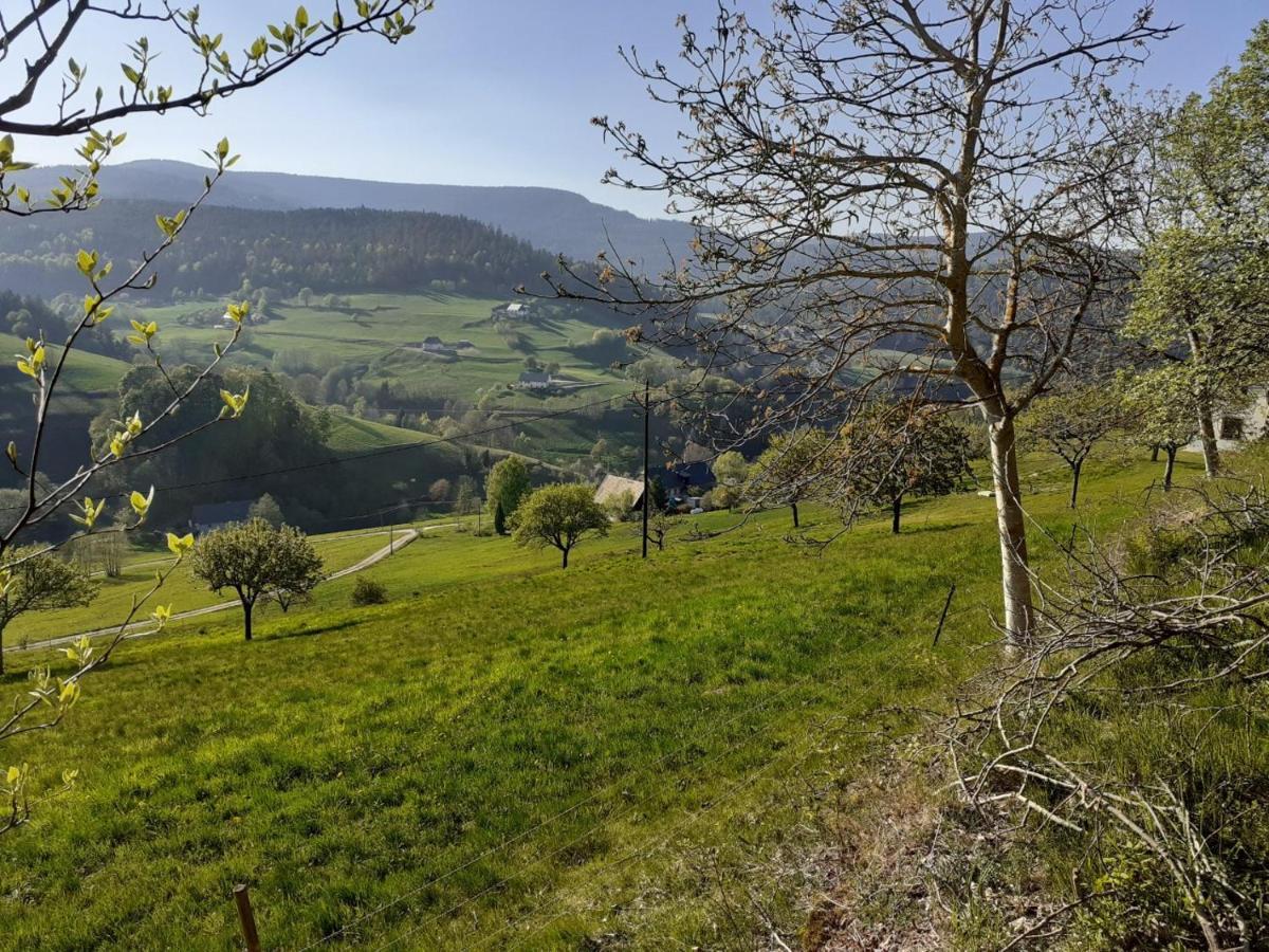 Villa Nordiques De La Welche à Orbey Extérieur photo