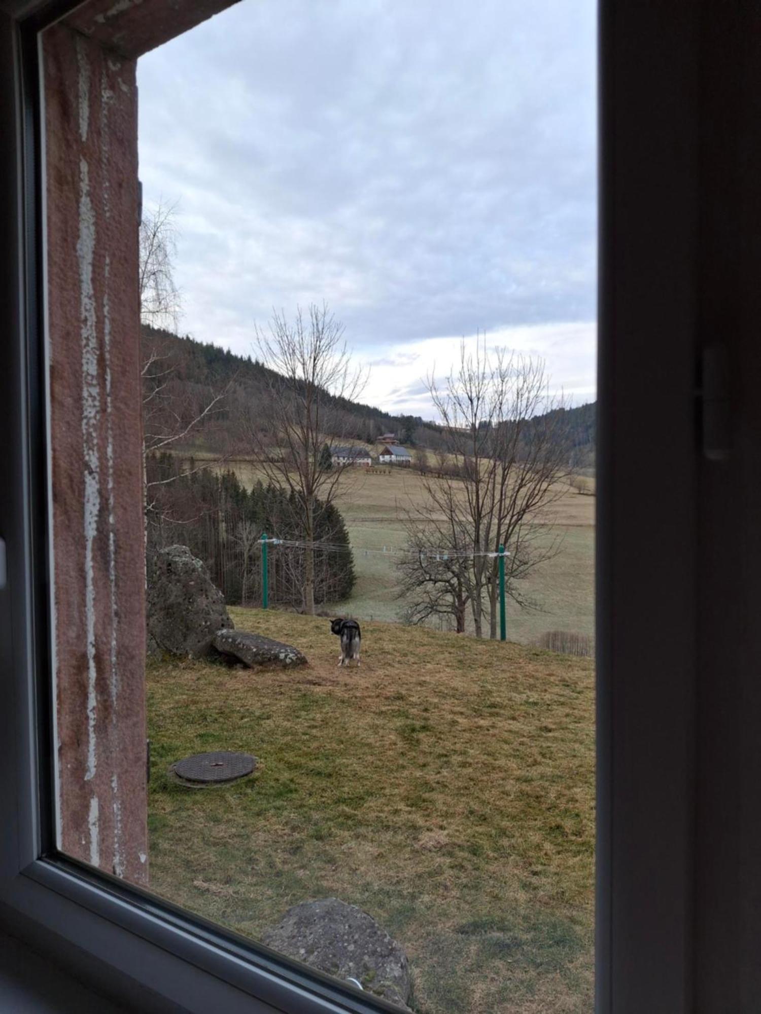 Villa Nordiques De La Welche à Orbey Extérieur photo