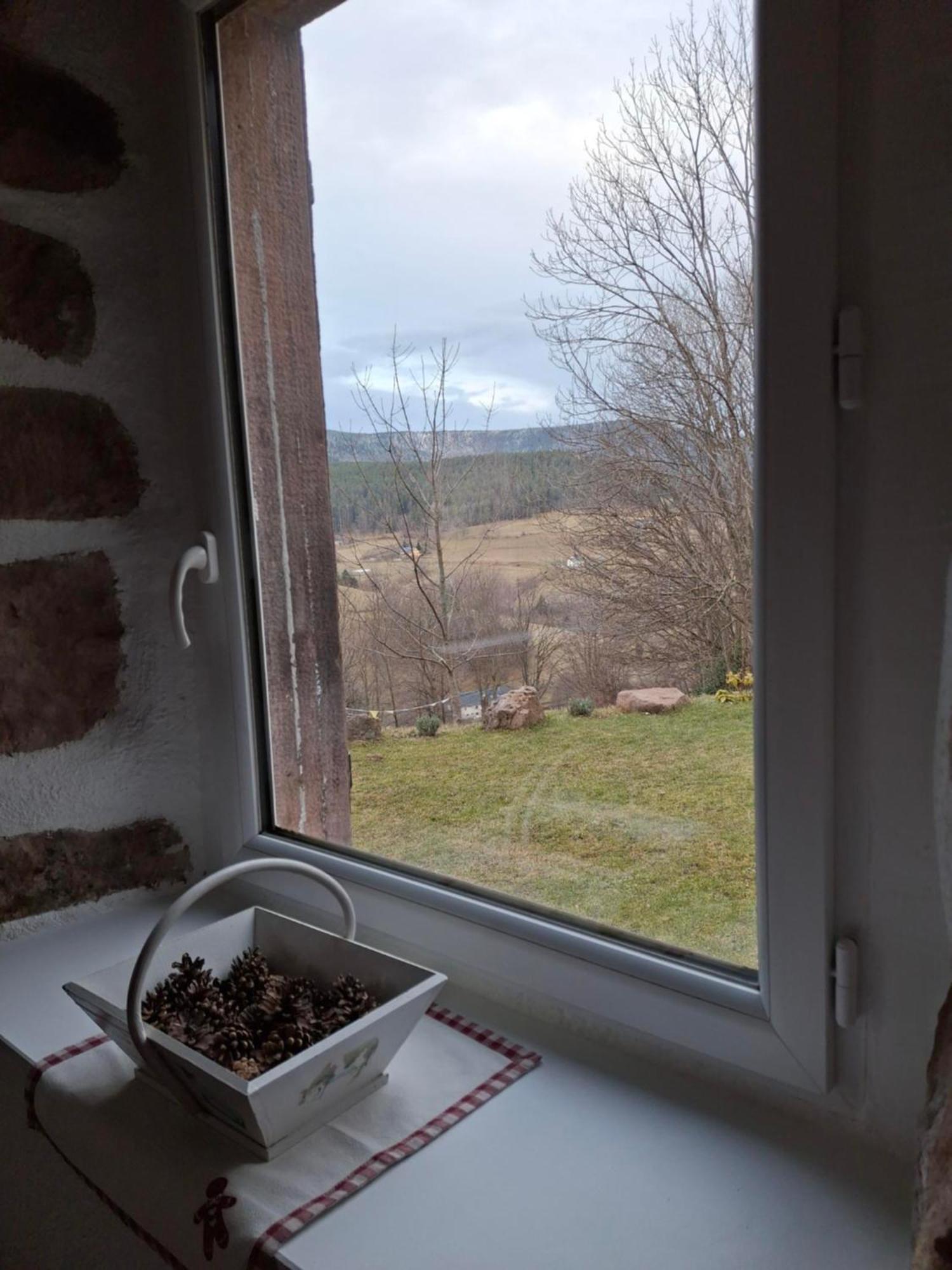 Villa Nordiques De La Welche à Orbey Extérieur photo
