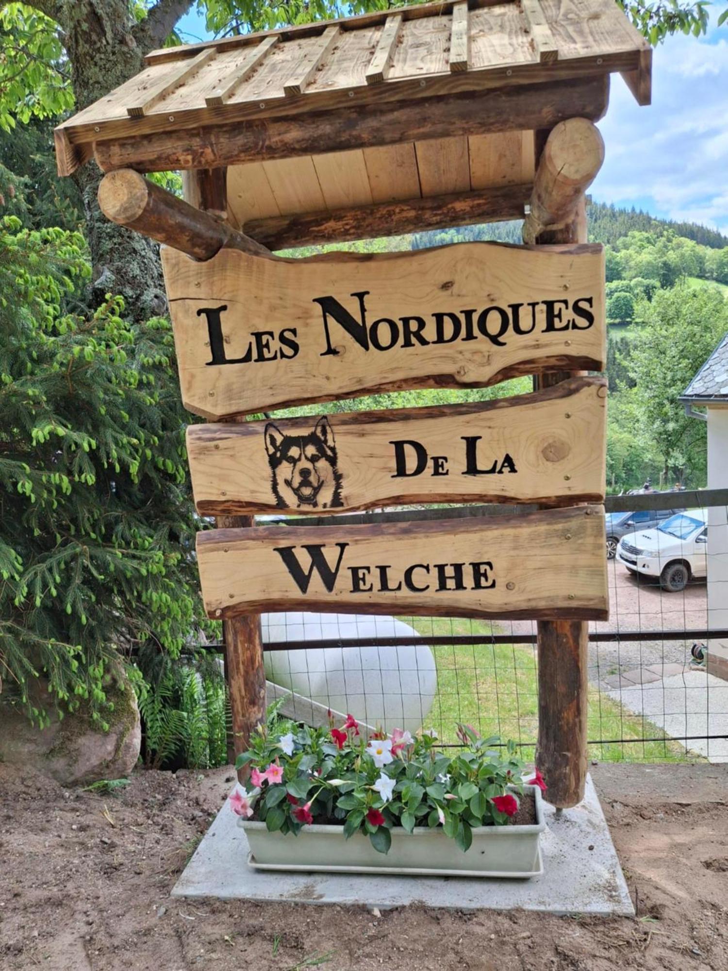 Villa Nordiques De La Welche à Orbey Extérieur photo